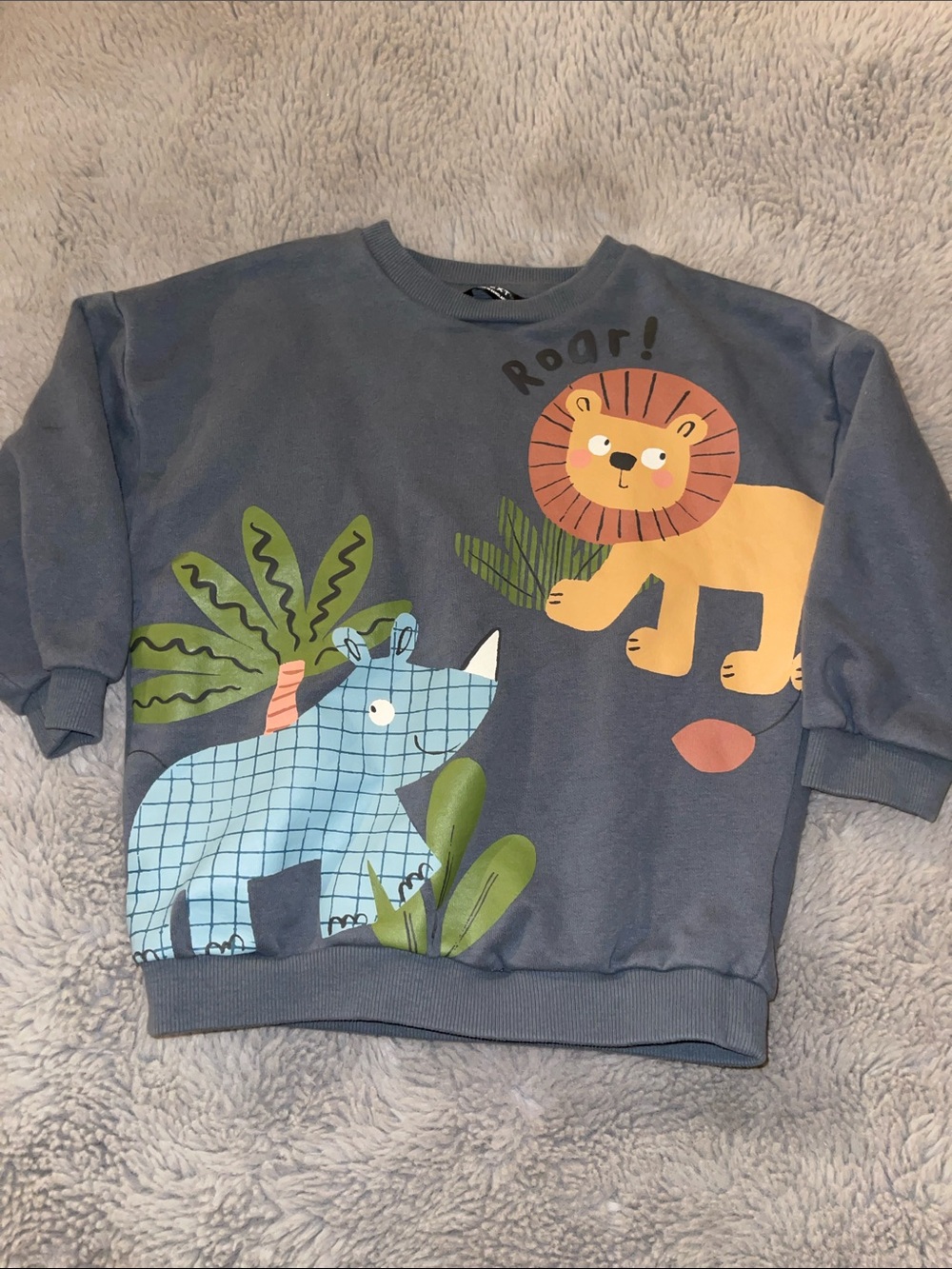 NEXT Kids Grey 'Roar' Lion & Rhino Graphic Sweatshirt Sz 2/3Y